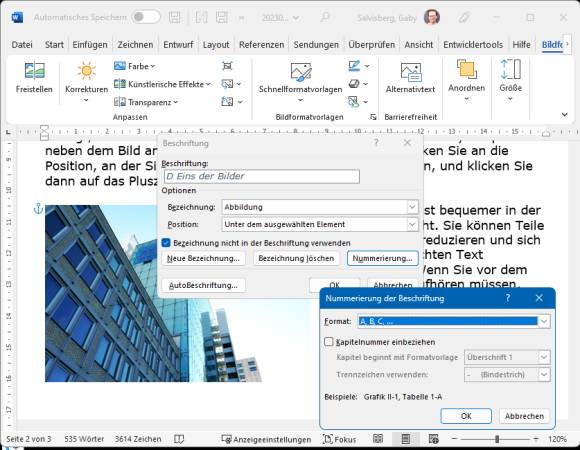 Ein eingefügtes Bild in einer Word-Datei, daneben die Option für die Nummerierung