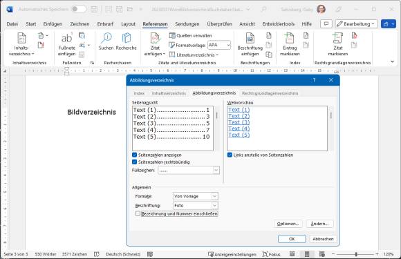 Screenshot zeigt, wie ein Abbildungsverzeichnis in Word eingefügt wird