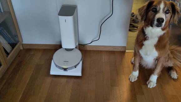 Jet Bot AI+ mit Absaugstation neben Redaktionshund Cody