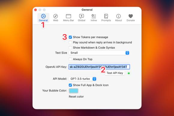 In den Einstellungen von MacGPT wird die Gültigkeit des Schlüssels geprüft