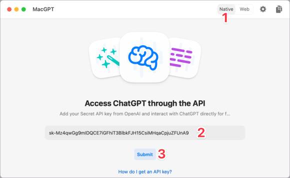 Der API-Key wird in MacGPT eingegeben