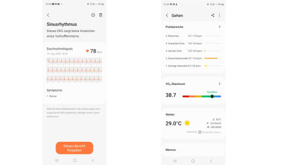 EKG-Messung und Pulsbereiche eines Trainings