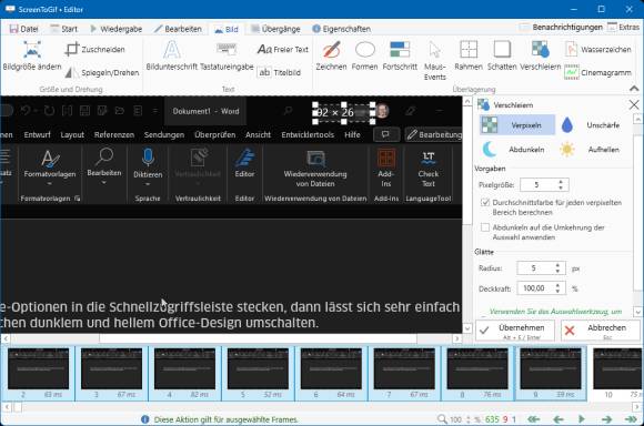Screen to GIF, mit Verpixelungsoption