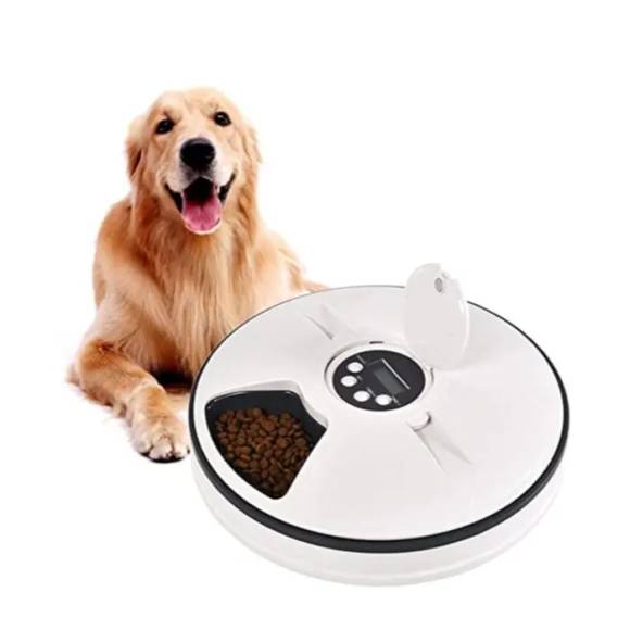 Golden Retriever und automatischer Futter-Spender 