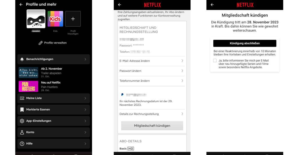 NetflixAbo kündigen onlinepc.ch