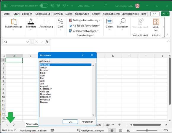 Der Bereich unten links in Excel, mit den zwei Winkelsymbolen zum Blättern