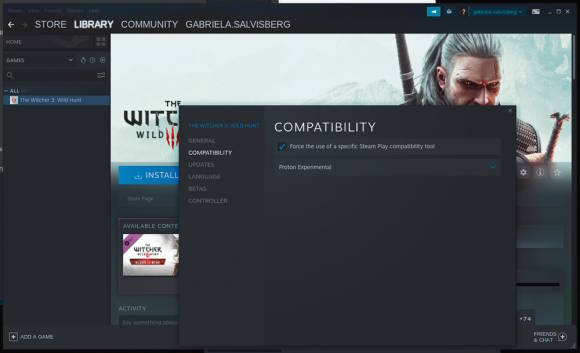 Das Spiel "The Witcher 3" in Steam