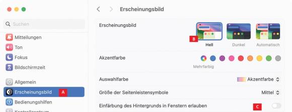 Bild 3: Diese Einstellungen bestimmen massgeblich, wie gut Screenshots gedruckt aussehen