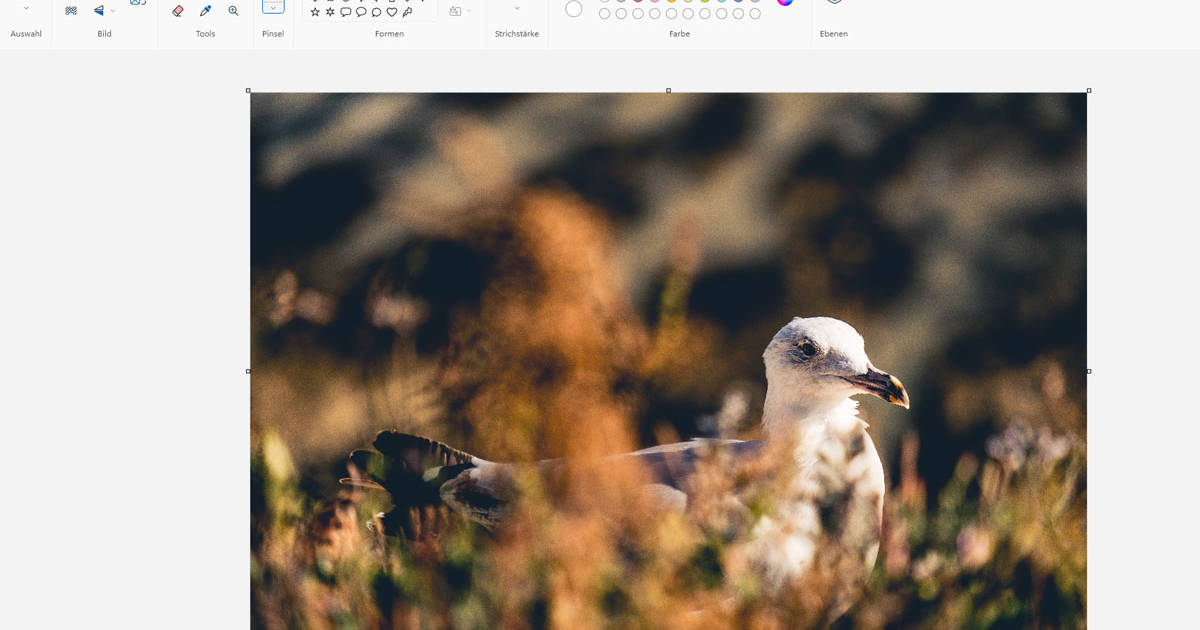 Das-neue-Paint