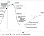Gartner Hype Cycle for Digital Government Services