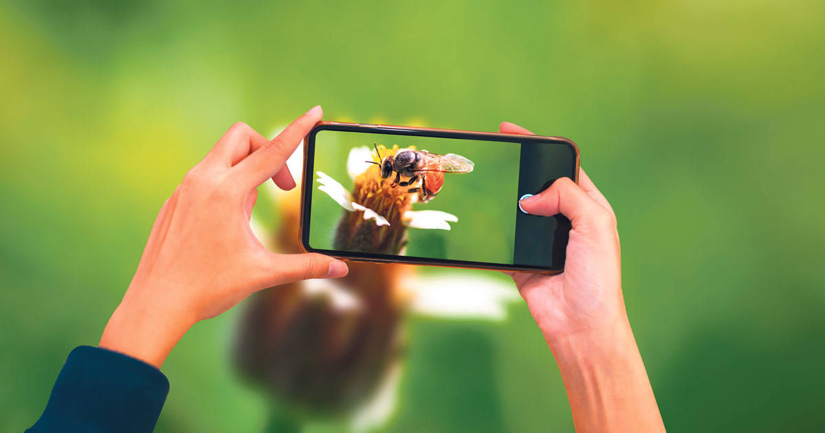 Top-Tipps-f-r-bessere-Handy-Fotos