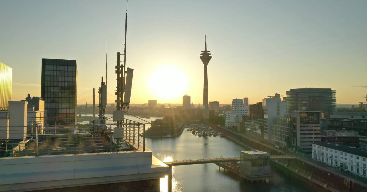 Das-Jahr-der-Netzbetreiber-in-Zahlen