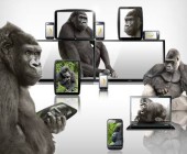 Gorillas zeigen Tablets