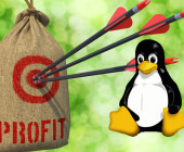 Profite mit Linux