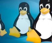 Tux Pinguin Linux