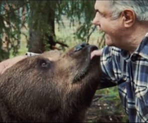 Mann und Bär umarmen sich 