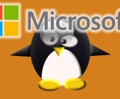 Microsoft und Linux