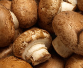 Champignons als Graphit-Ersatz