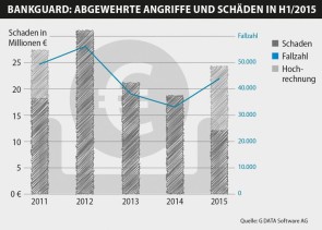 Die Online-Bankräuber 