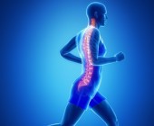 Backbones: Das Rückgrat des Internets