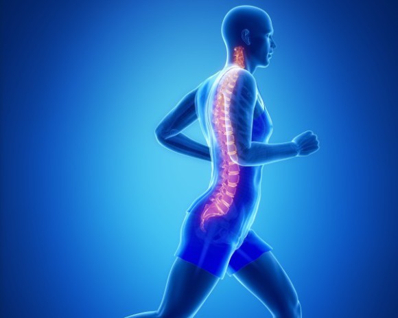 Backbones: Das Rückgrat des Internets Backbones: Das Rückgrat des Internets