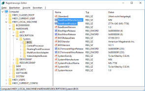 Mainboard in der Registry