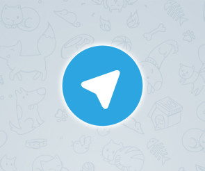 Telegram Logo 