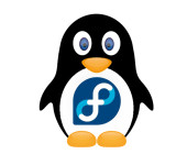 Pinguin mit Fedora-Logo
