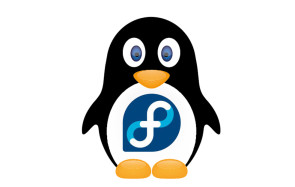 Pinguin mit Fedora-Logo 