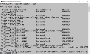 Netzwerkkontrolle mit Netstat