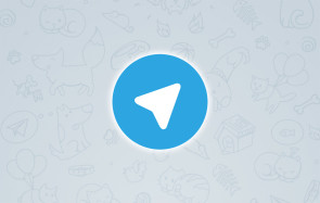 Telegram Icon 