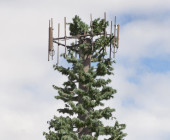 Antenne auf Hawaii