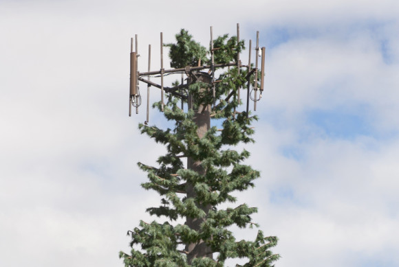 Antenne auf Hawaii 