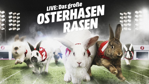 Screenshot-Osterhasen-Rasen