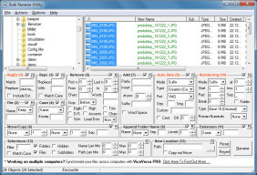 Bulk Rename Utility