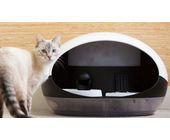 Smarter Büsi-Automat setzt Katze auf Diät