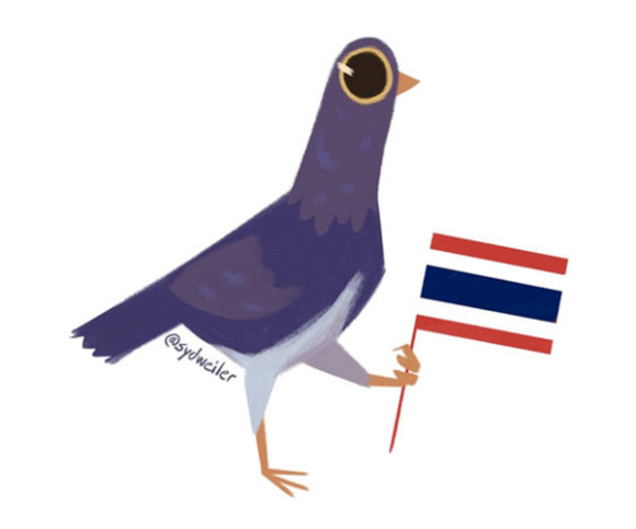 Trash Dove mit Thailand-Flagge 
