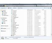 Viren tarnen sich manchmal als Update-File – das ist der Unterschied