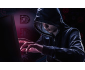 Cyber-Kriminalität