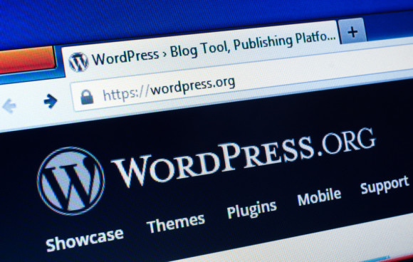 WordPress 