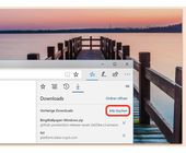 Download-Liste im Edge Browser löschen