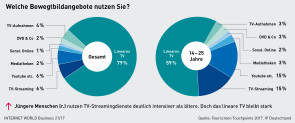 Nutzung-Bewegtbildangebote