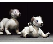 Roboterhund Aibo von Sony ist zurück