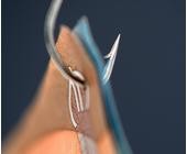 Phishing