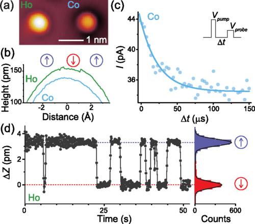 In ihrem Paper konnten die EPFL-Physiker zeigen, dass Ein-Atom-Magnete aus Holmium stabil sind