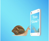 Schnecke vor dem Smartphone